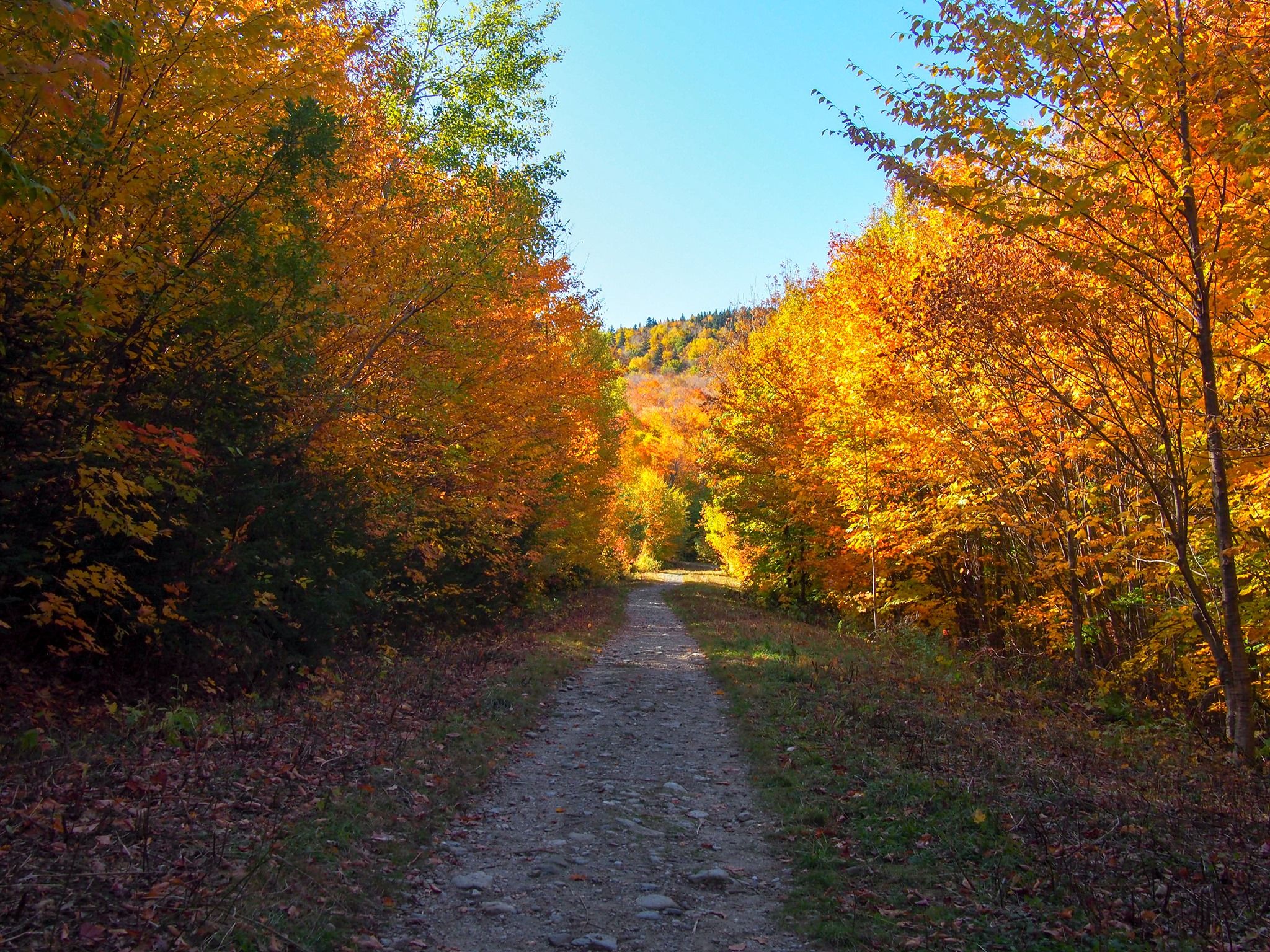 Hiking photo from 2019-10-11